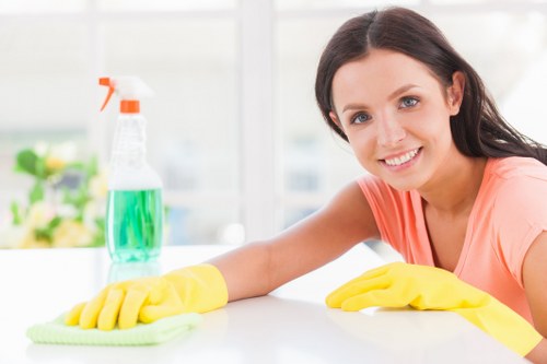 Professional oven cleaning in Brompton removing grease from a kitchen oven