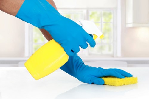 Deep cleaning for a Brompton bathroom interior