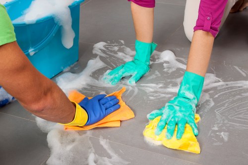 Eco-friendly house cleaning supplies used in Brompton